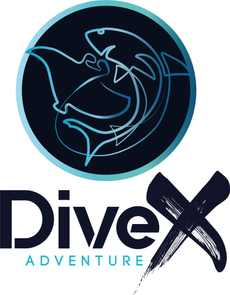 DiveX Adventure